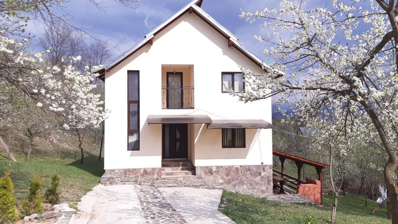 فيلا Casa Flutar مويزي المظهر الخارجي الصورة