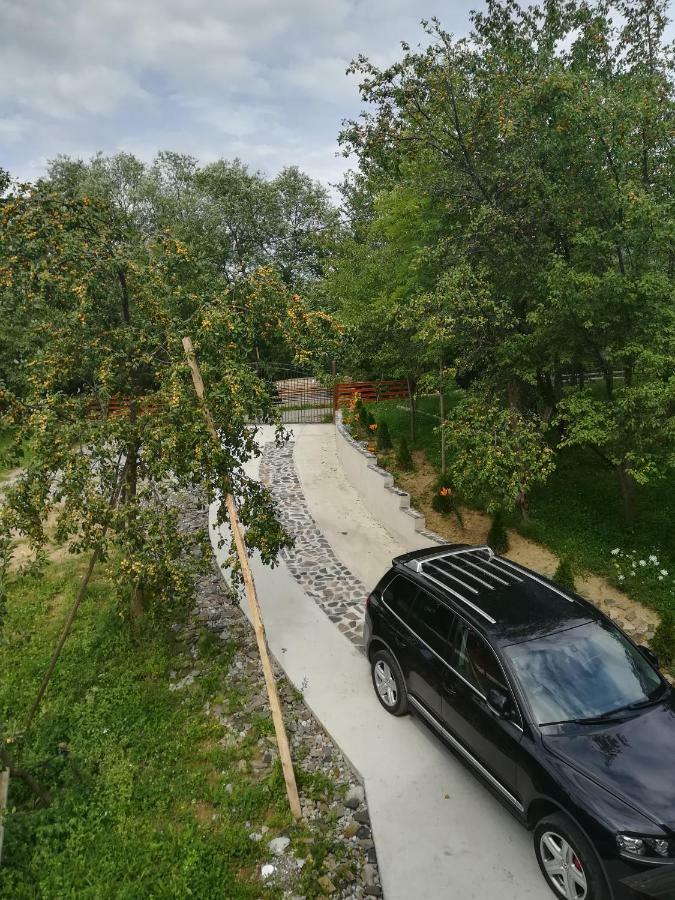 فيلا Casa Flutar مويزي المظهر الخارجي الصورة