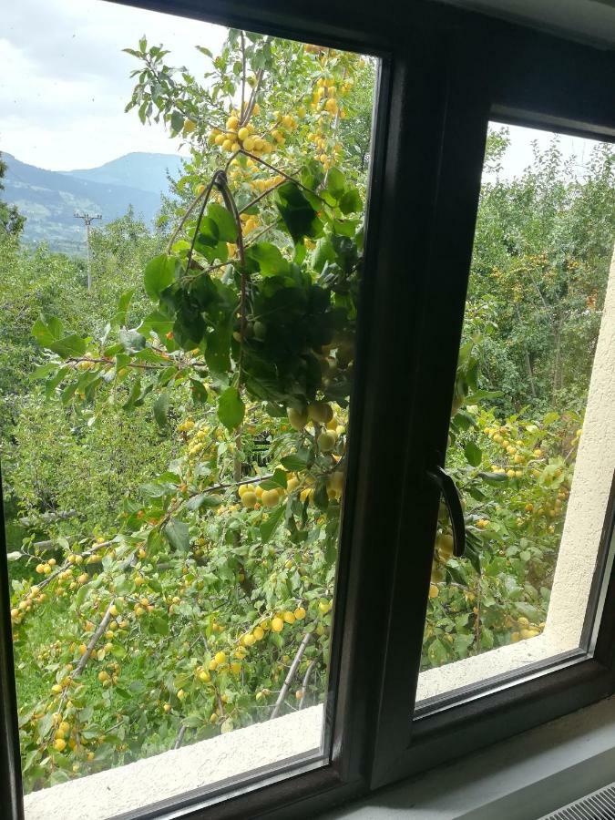 فيلا Casa Flutar مويزي المظهر الخارجي الصورة